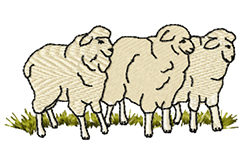 3 Sheep